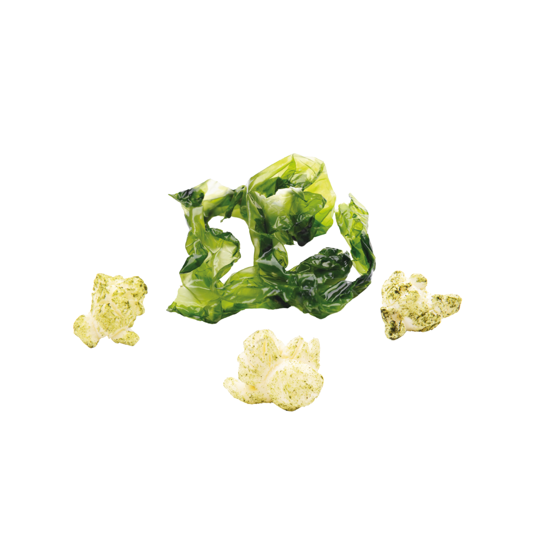 Popcorn Sel de Guérande + Algues Marines (PETIT SACHET 10x25g)